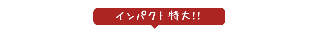 【インパクト特大!!】